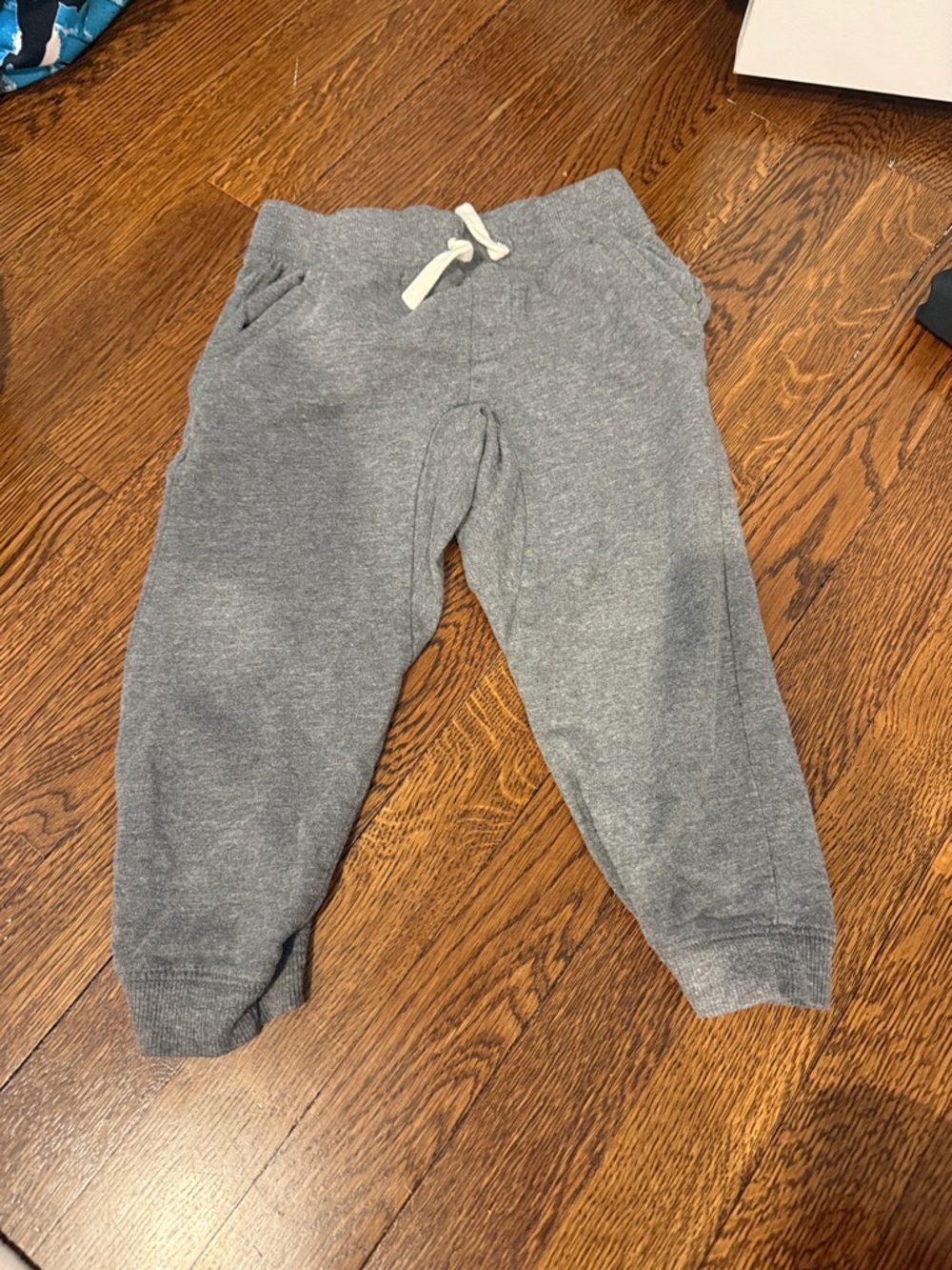 Splendid Joggers